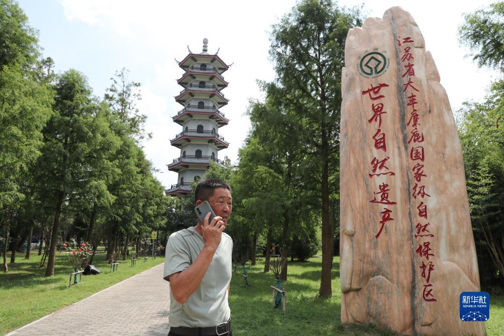 三元777水果小玛丽